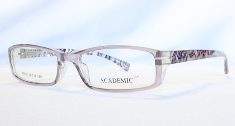 Academic  P6010